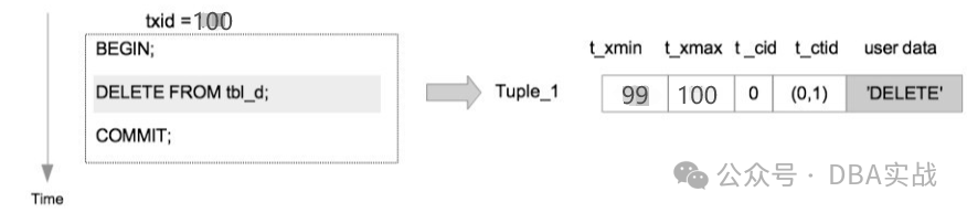 Docker构建Tomcat Web服务器与Tomcat如何优化