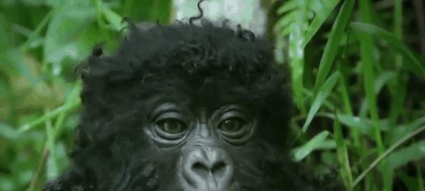 怎样获取某个数据库的所有存储过程SQL语句